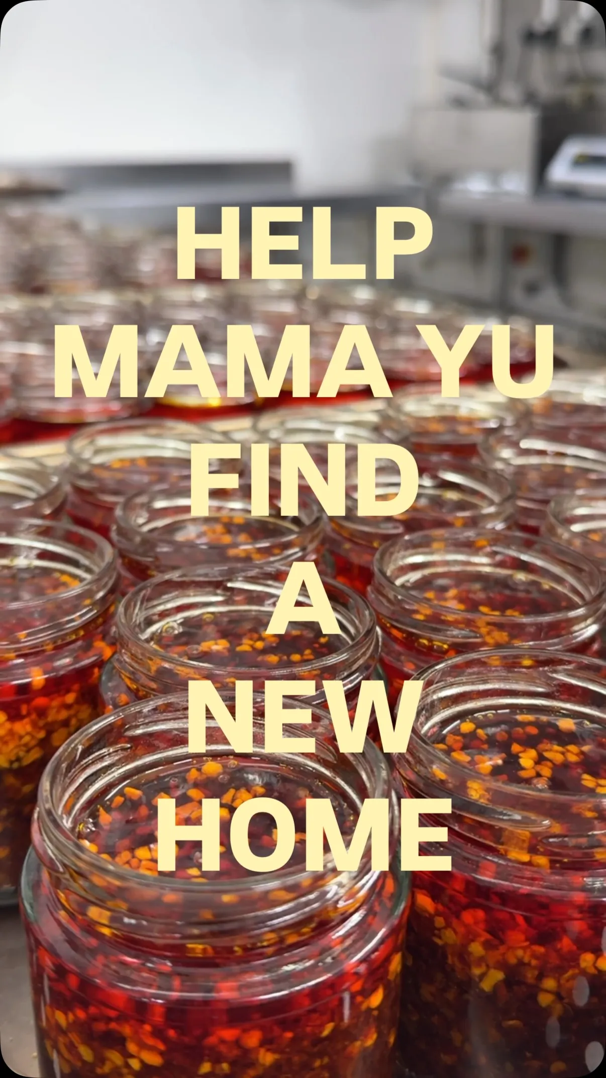 A family search tracing Mama Yu's roots